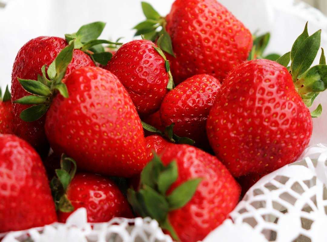 dairy-free desserts