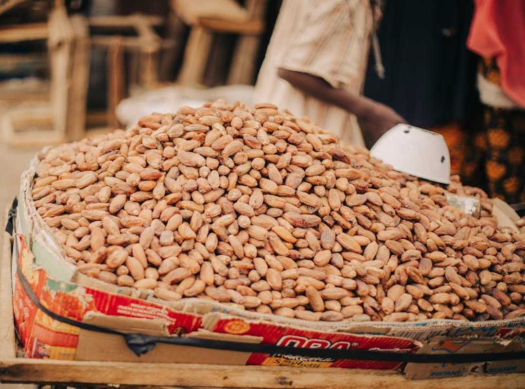 fair trade foods