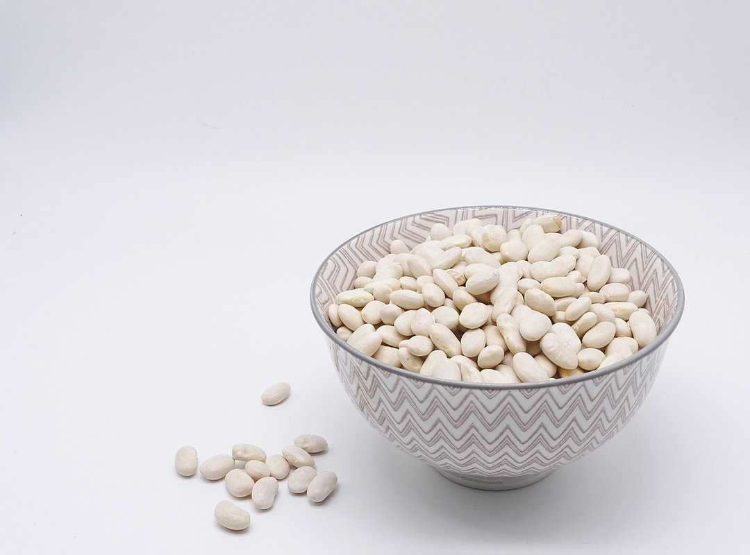 plant-based proteins