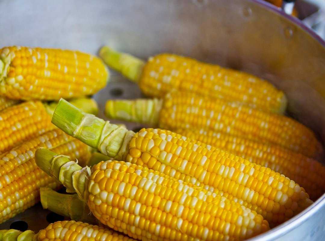 trending ingredients 2023