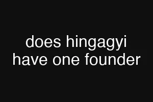 does hingagyi have one founder
